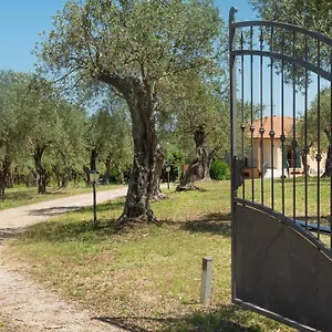 Welcomely - Country Olivar Alghero